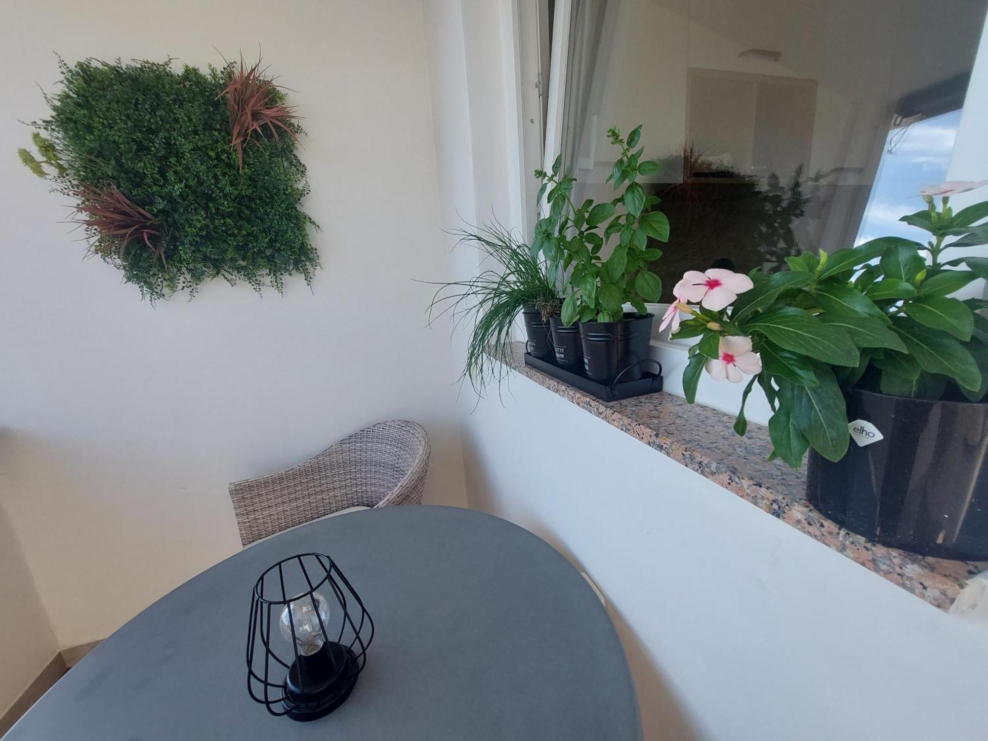 Petra Rooms And Apartments Palit Phòng bức ảnh